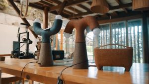 Video Cow Dung Lowres.mp4_snapshot_00.05.775