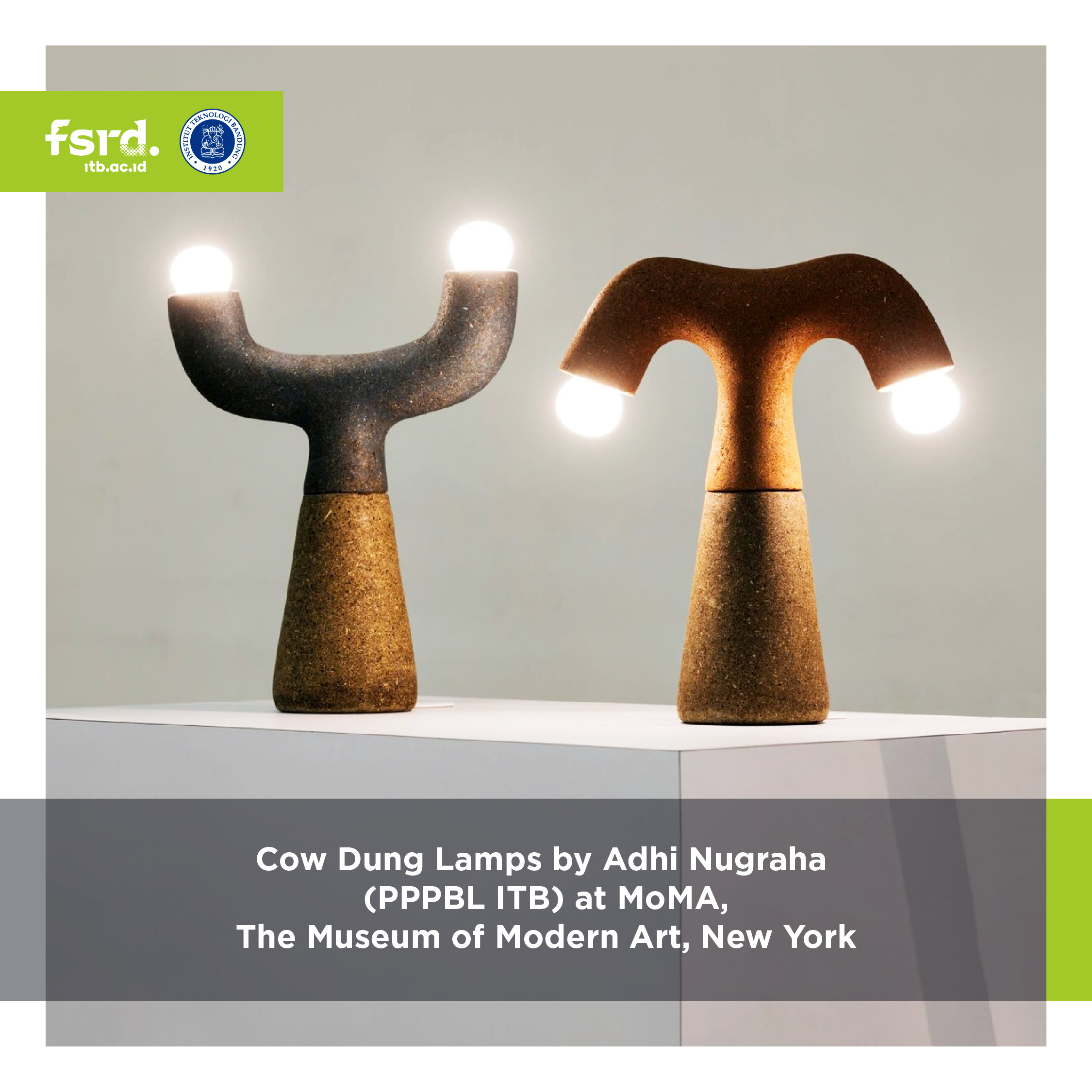 Cow Dung Lamps AT MOMA, New York