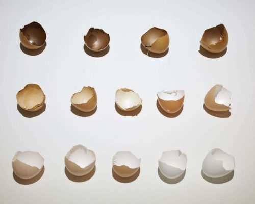 Nidiya artwork2 Nidiya artwork2