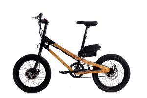 WhatsApp Image 2026-02-18 at 3.16.21 PM (1)